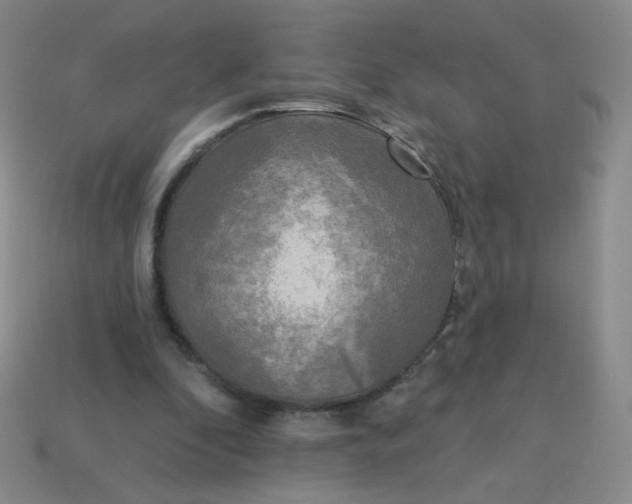 X0000113300296200910131053