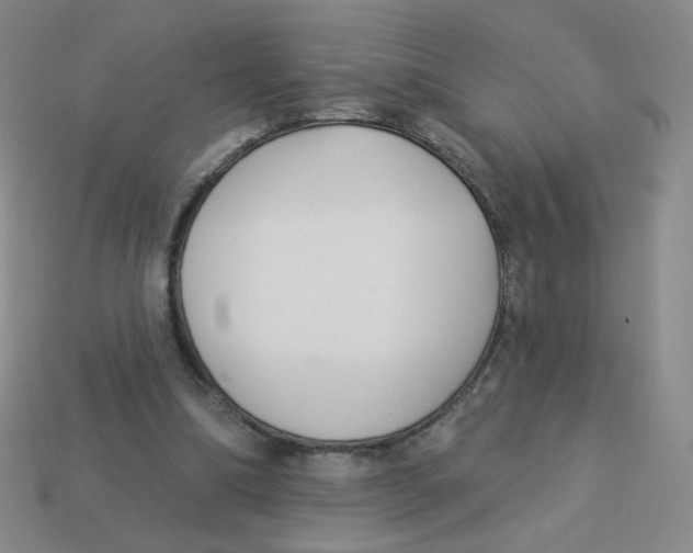 X0000113300298200910131053