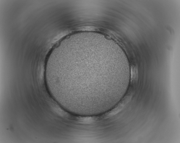 X0000113300301200910131053