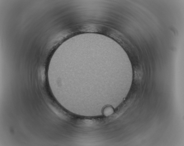 X0000113300302200910131053