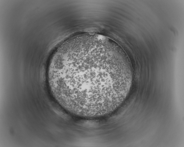X0000113300303200910131053