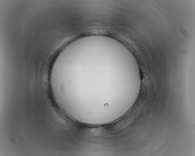 X0000113300306200910131053