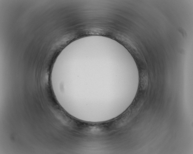 X0000113300310200910131052