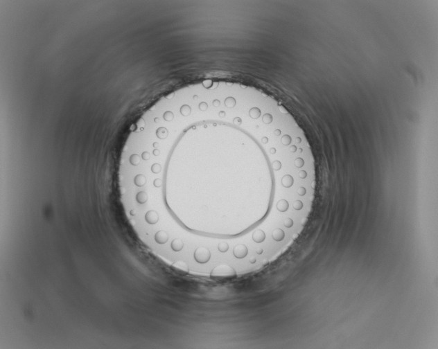 X0000113300311200910131052