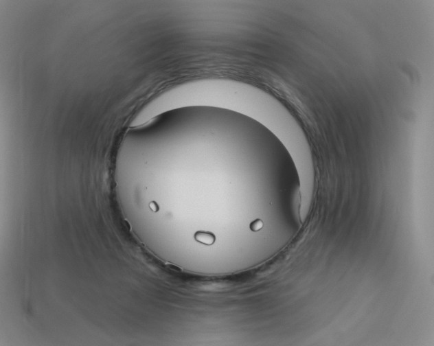 X0000113300313200910131052