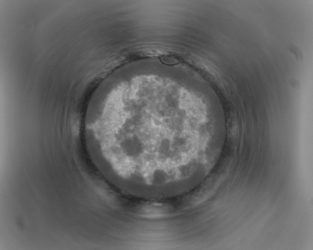 X0000113300315200910131052