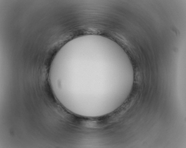 X0000113300318200910131052