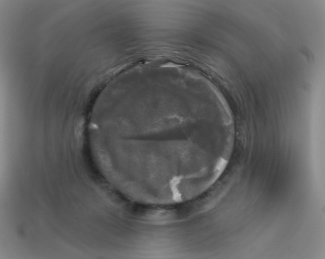 X0000113300319200910131052