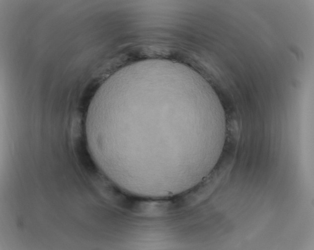 X0000113300323200910131052