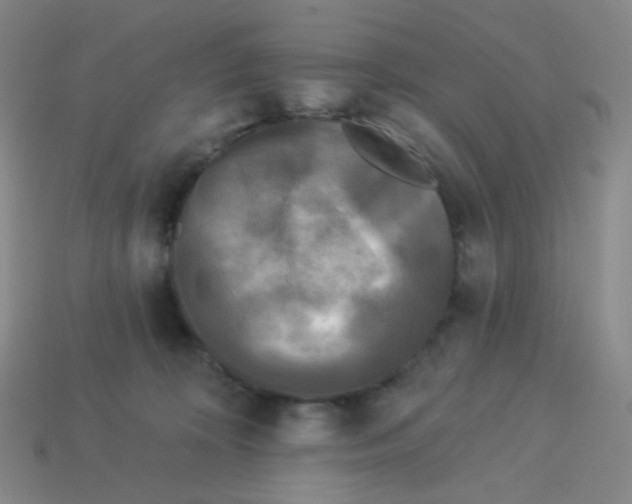 X0000113300324200910131052
