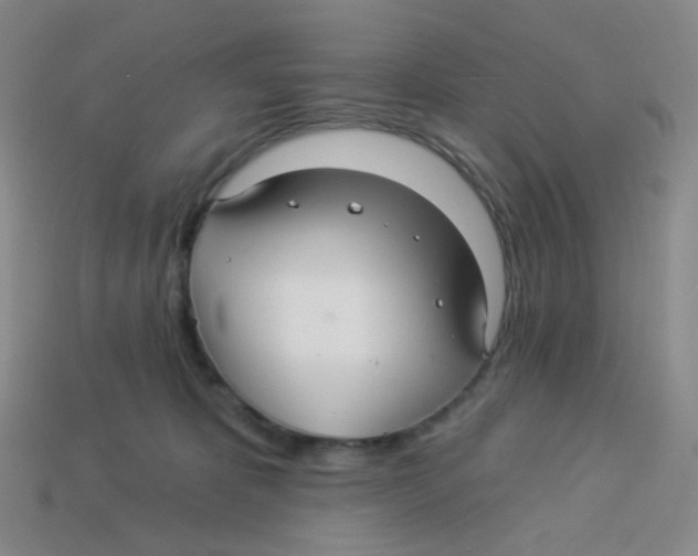 X0000113300325200910131052