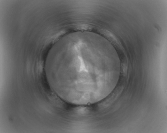 X0000113300326200910131052