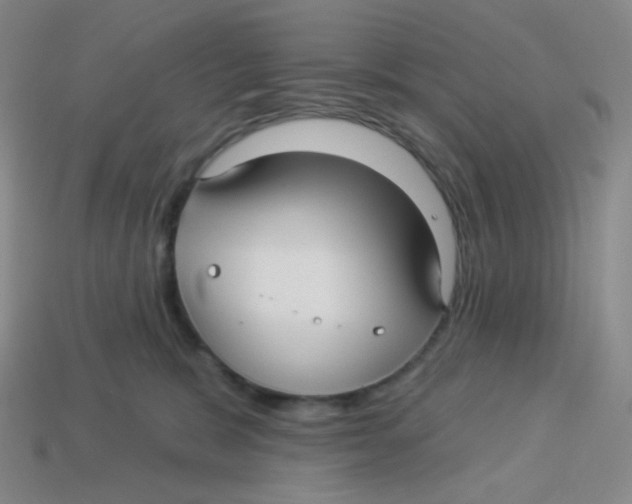 X0000113300327200910131052