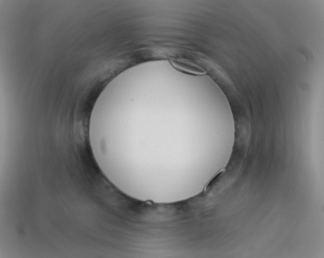 X0000113300329200910131052