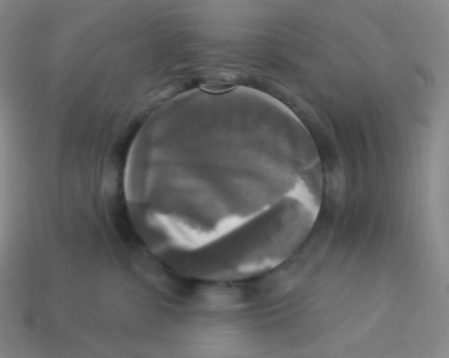 X0000113300331200910131052