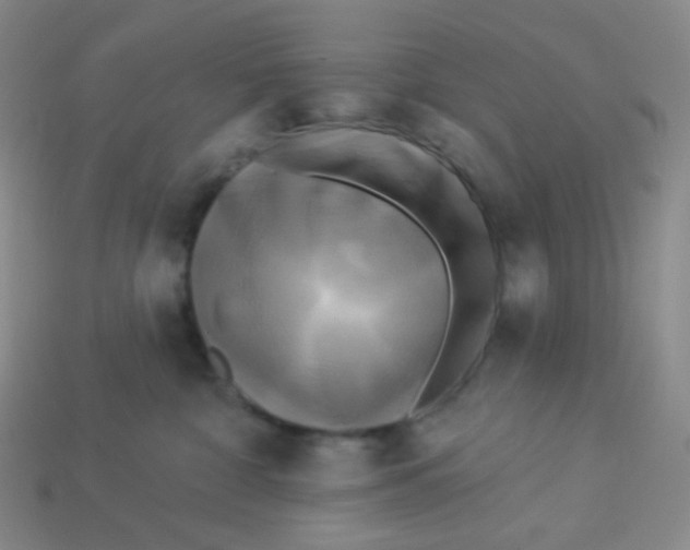 X0000113300332200910131052