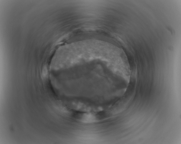 X0000113300335200910131052
