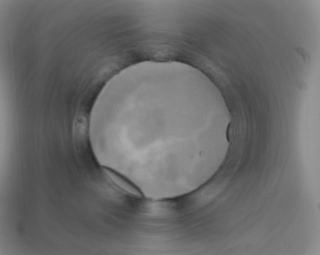 X0000113300336200910131052