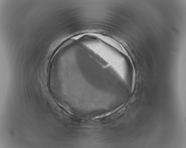 X0000113300337200910131052