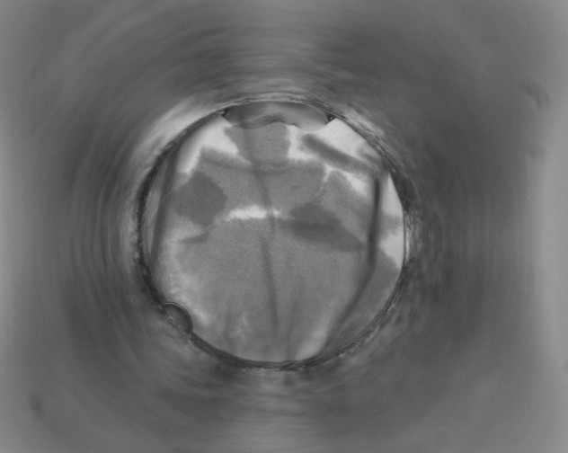 X0000113300339200910131052