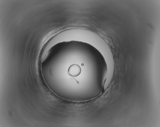 X0000113300340200910131052
