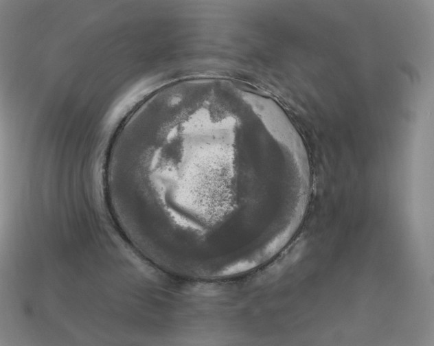 X0000113300341200910131052