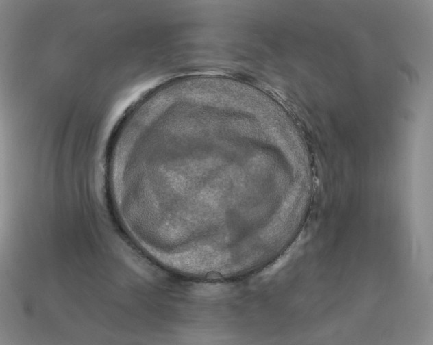 X0000113300342200910131052