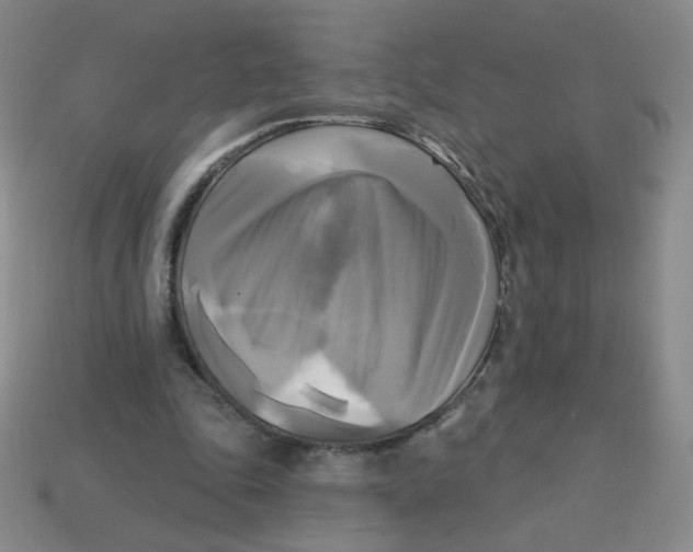 X0000113300343200910131052