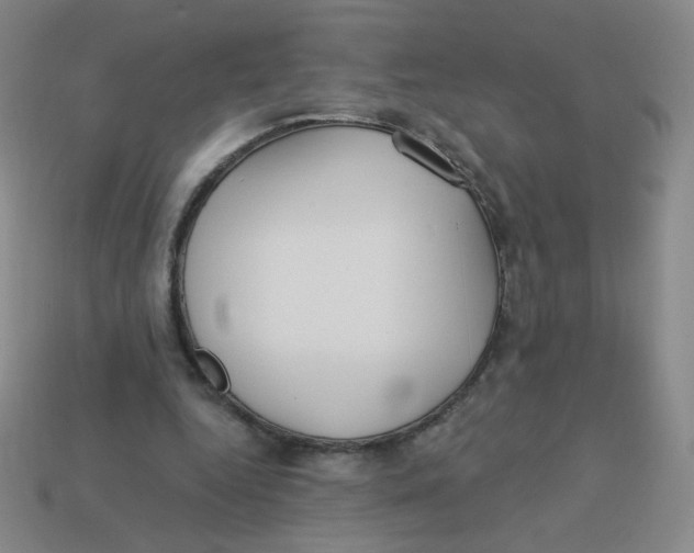 X0000113300344200910131052