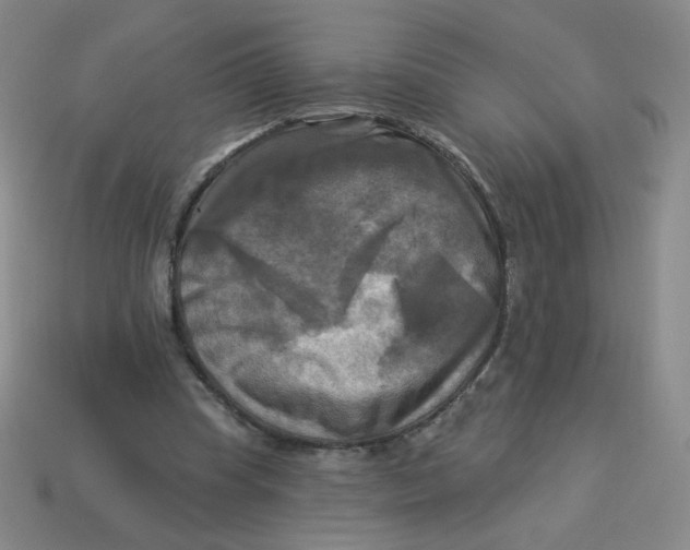 X0000113300345200910131052