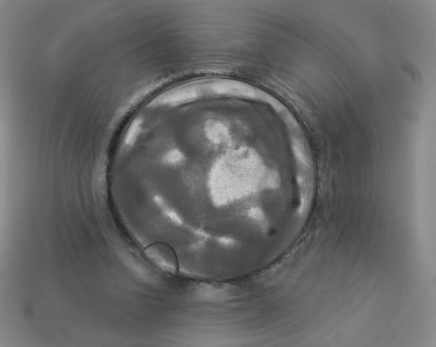 X0000113300346200910131052