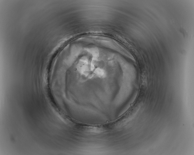 X0000113300347200910131052