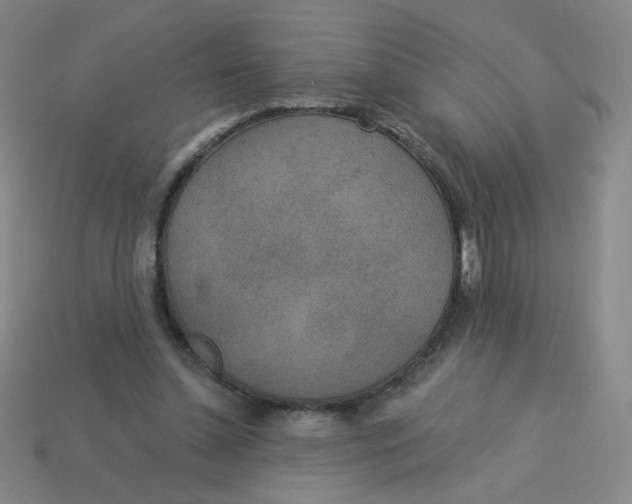X0000113300348200910131052