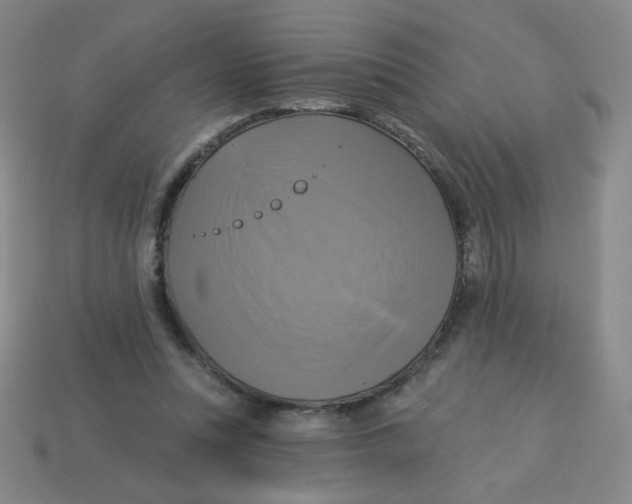 X0000113300351200910131052