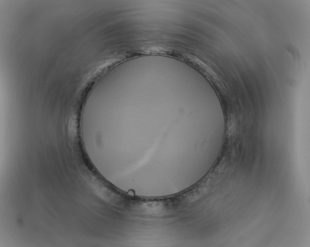 X0000113300353200910131052