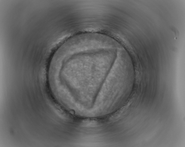 X0000113300354200910131052