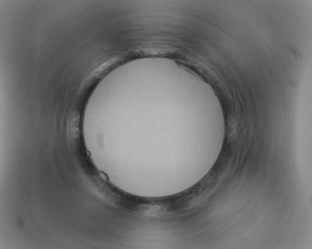 X0000113300356200910131052