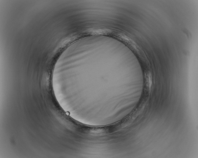 X0000113300357200910131052
