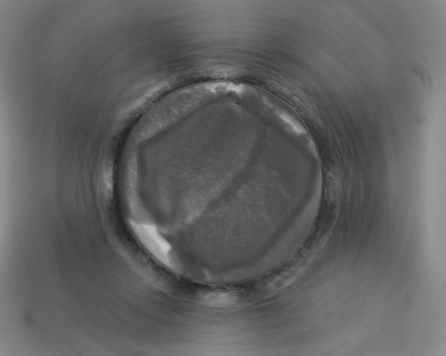 X0000113300358200910131052
