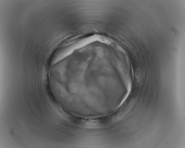 X0000113300359200910131052