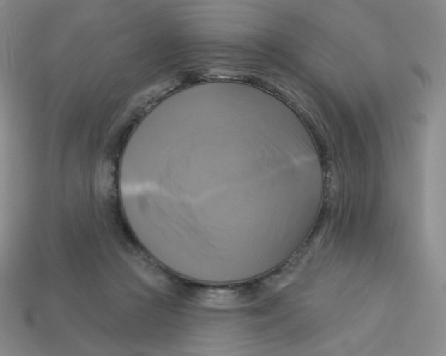 X0000113300361200910131052