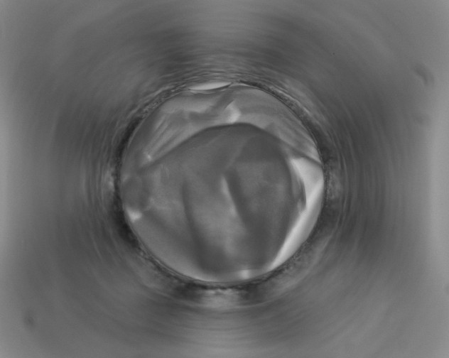 X0000113300363200910131052