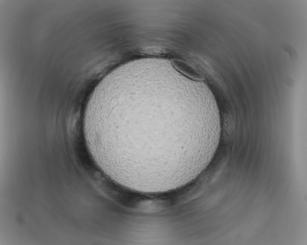 X0000113300364200910131052