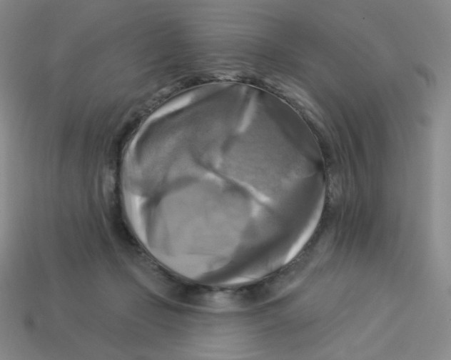 X0000113300365200910131052