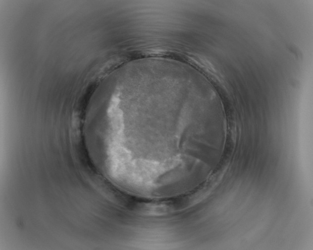 X0000113300366200910131052