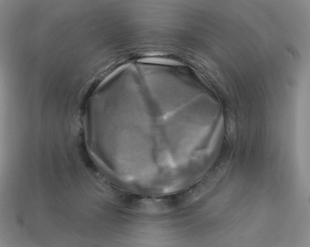 X0000113300367200910131052
