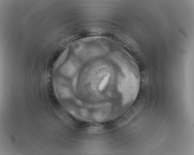 X0000113300369200910131052