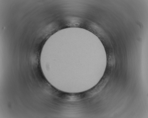 X0000113300370200910131052