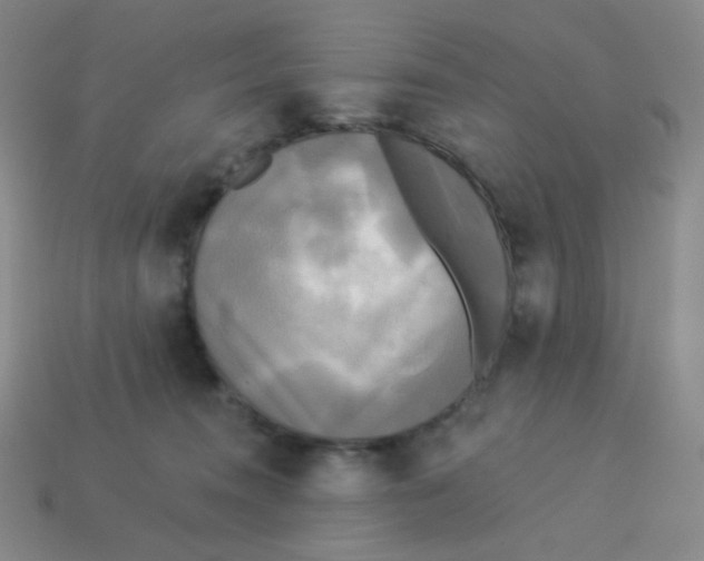 X0000113300372200910131052