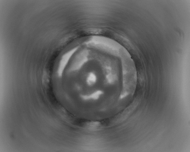 X0000113300374200910131052